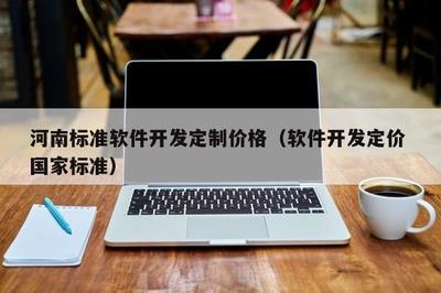 河南标准软件开发定制价格(软件开发定价 国家标准)