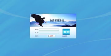 广州直销软件开发丨互助系统开发丨虚拟货币系统开发