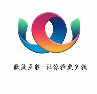 专业做软件开发,微信小程序开发,公司系统,网站设计