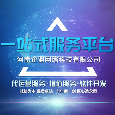 软件开发