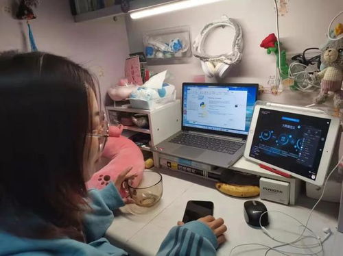 河南师范大学联合八六三软件成功开启2019级软件学院实训教学